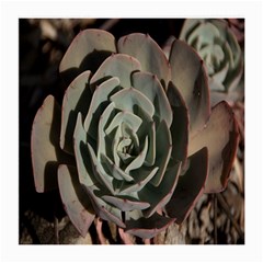 Succulent Green Pink Rosettes Medium Glasses Cloth (2 Back