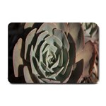 Succulent Green Pink Rosettes Small Doormat 