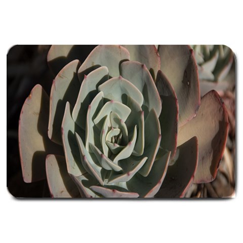 Succulent Green Pink Rosettes Large Doormat  from ArtsNow.com 30 x20  Door Mat