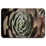 Succulent Green Pink Rosettes Large Doormat 