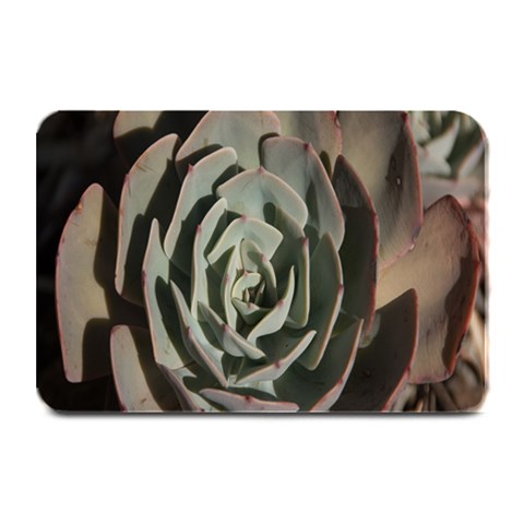 Succulent Green Pink Rosettes Plate Mats from ArtsNow.com 18 x12  Plate Mat