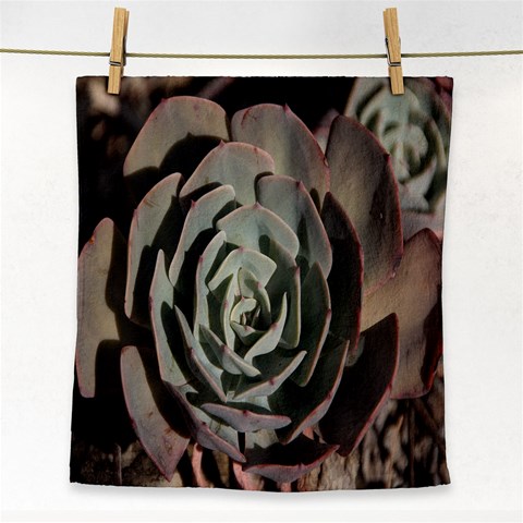 Succulent Green Pink Rosettes Face Towel from ArtsNow.com Front