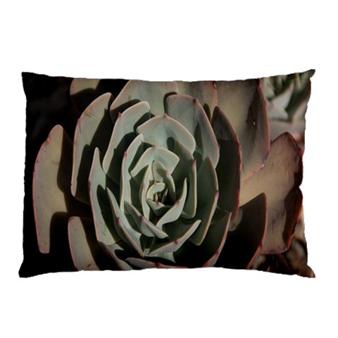 Succulent Green Pink Rosettes Pillow Case from ArtsNow.com 26.62 x18.9  Pillow Case