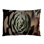 Succulent Green Pink Rosettes Pillow Case