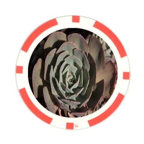 Succulent Green Pink Rosettes Poker Chip Card Guard (10 pack) from ArtsNow.com Front