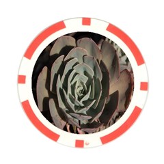 Succulent Green Pink Rosettes Poker Chip Card Guard (10 pack) from ArtsNow.com Front
