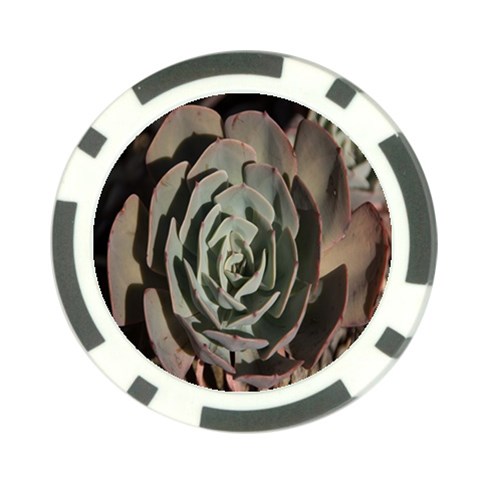 Succulent Green Pink Rosettes Poker Chip Card Guard (10 pack) from ArtsNow.com Back