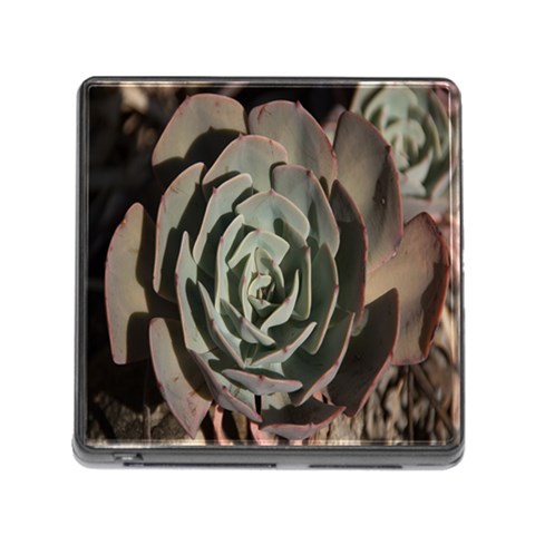 Succulent Green Pink Rosettes Memory Card Reader (Square) from ArtsNow.com Front