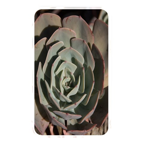 Succulent Green Pink Rosettes Memory Card Reader from ArtsNow.com Front