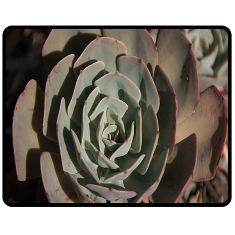 Succulent Green Pink Rosettes Fleece Blanket (Medium)  from ArtsNow.com 60 x50  Blanket Front