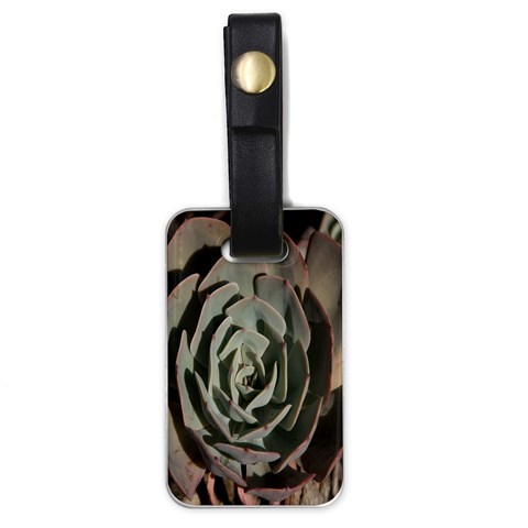 Succulent Green Pink Rosettes Luggage Tags (One Side)  from ArtsNow.com Front