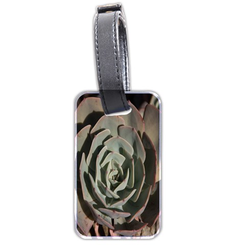 Succulent Green Pink Rosettes Luggage Tags (Two Sides) from ArtsNow.com Front