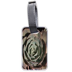 Succulent Green Pink Rosettes Luggage Tags (Two Sides) from ArtsNow.com Front