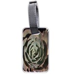 Succulent Green Pink Rosettes Luggage Tags (Two Sides)