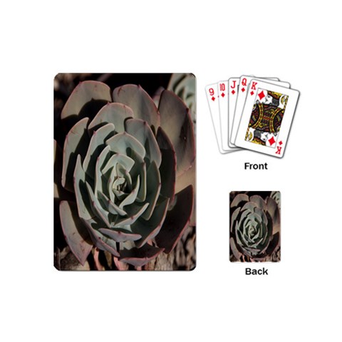 Succulent Green Pink Rosettes Playing Cards (Mini)  from ArtsNow.com Back