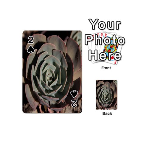 Succulent Green Pink Rosettes Playing Cards 54 (Mini)  from ArtsNow.com Front - Spade2
