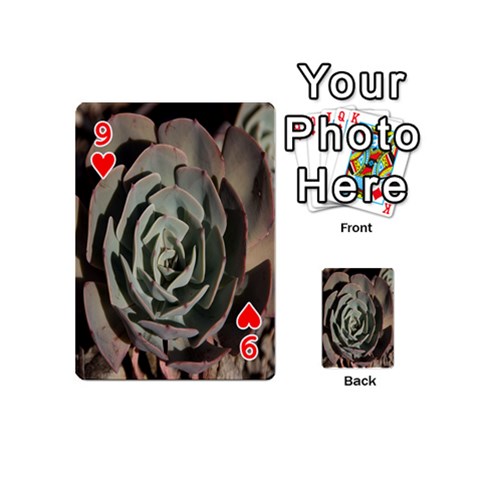 Succulent Green Pink Rosettes Playing Cards 54 (Mini)  from ArtsNow.com Front - Heart9