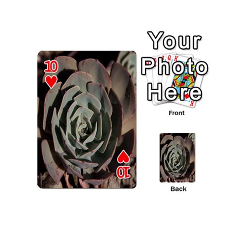 Succulent Green Pink Rosettes Playing Cards 54 (Mini)  from ArtsNow.com Front - Heart10