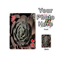 Succulent Green Pink Rosettes Playing Cards 54 (Mini)  from ArtsNow.com Front - Diamond10