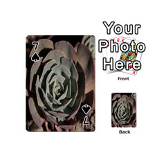 Succulent Green Pink Rosettes Playing Cards 54 (Mini)  from ArtsNow.com Front - Spade7