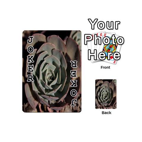 Succulent Green Pink Rosettes Playing Cards 54 (Mini)  from ArtsNow.com Front - Joker1