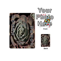 Succulent Green Pink Rosettes Playing Cards 54 (Mini)  from ArtsNow.com Front - Joker1
