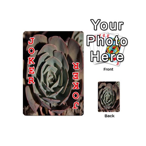 Succulent Green Pink Rosettes Playing Cards 54 (Mini)  from ArtsNow.com Front - Joker2