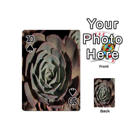 Succulent Green Pink Rosettes Playing Cards 54 (Mini)  from ArtsNow.com Front - Spade10