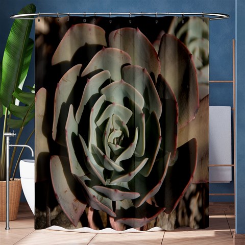 Succulent Green Pink Rosettes Shower Curtain 60  x 72  (Medium)  from ArtsNow.com 60 x72  Curtain