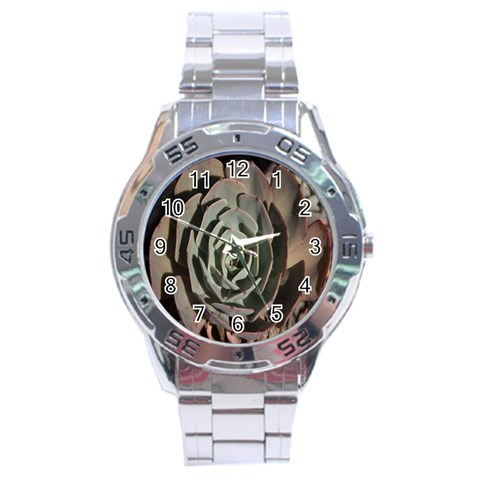 Succulent Green Pink Rosettes Stainless Steel Analogue Watch from ArtsNow.com Front