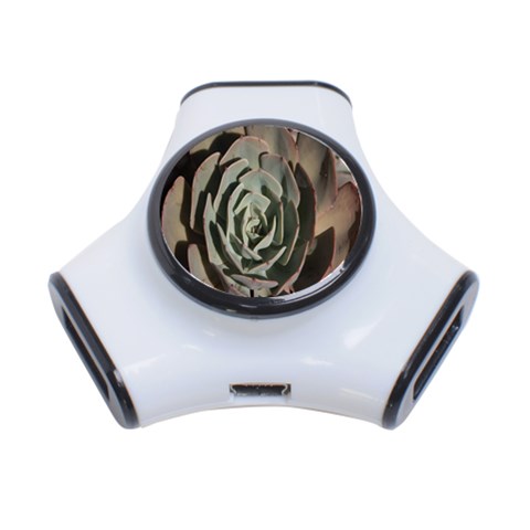 Succulent Green Pink Rosettes 3 Front