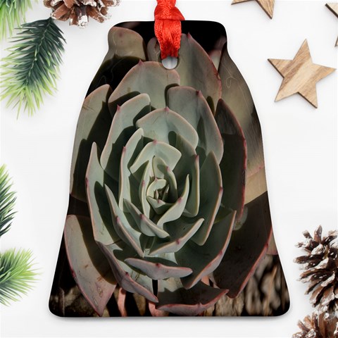 Succulent Green Pink Rosettes Ornament (Bell) from ArtsNow.com Front