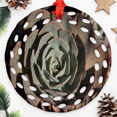 Succulent Green Pink Rosettes Round Filigree Ornament (Two Sides) from ArtsNow.com Front