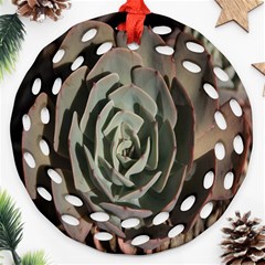 Succulent Green Pink Rosettes Round Filigree Ornament (Two Sides) from ArtsNow.com Front