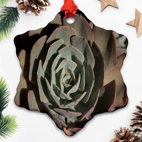 Succulent Green Pink Rosettes Snowflake Ornament (Two Sides) from ArtsNow.com Front