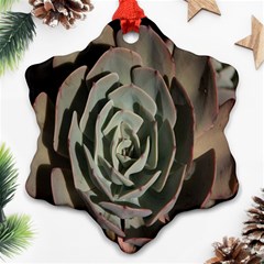 Succulent Green Pink Rosettes Snowflake Ornament (Two Sides) from ArtsNow.com Back