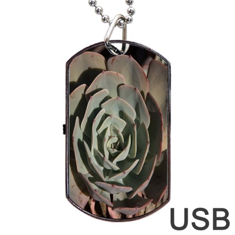 Succulent Green Pink Rosettes Dog Tag USB Flash (One Side) from ArtsNow.com Front