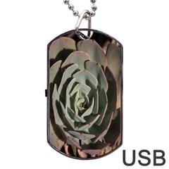 Succulent Green Pink Rosettes Dog Tag USB Flash (Two Sides) from ArtsNow.com Back