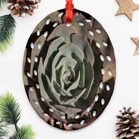 Succulent Green Pink Rosettes Oval Filigree Ornament (Two Sides) from ArtsNow.com Back
