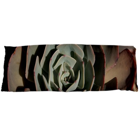 Succulent Green Pink Rosettes Body Pillow Case Dakimakura (Two Sides) from ArtsNow.com Front
