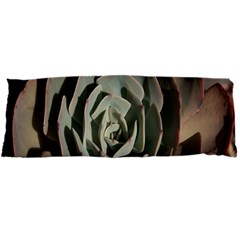 Succulent Green Pink Rosettes Body Pillow Case Dakimakura (Two Sides) from ArtsNow.com Front