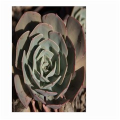 Succulent Green Pink Rosettes Large Garden Flag (Two Sides) from ArtsNow.com Back