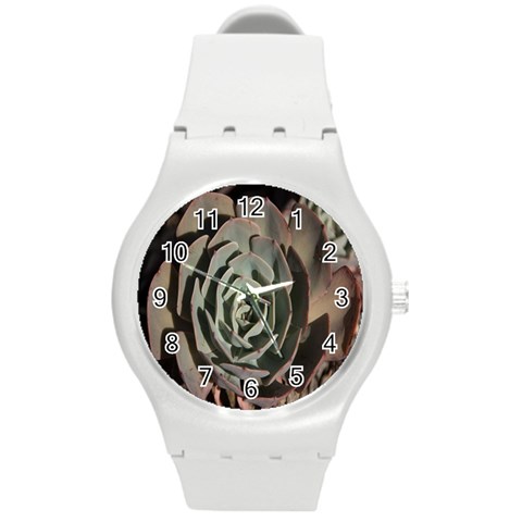 Succulent Green Pink Rosettes Round Plastic Sport Watch (M) from ArtsNow.com Front