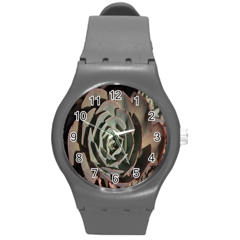 Succulent Green Pink Rosettes Round Plastic Sport Watch (M) from ArtsNow.com Front