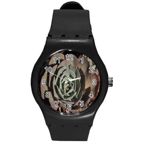 Succulent Green Pink Rosettes Round Plastic Sport Watch (M) from ArtsNow.com Front
