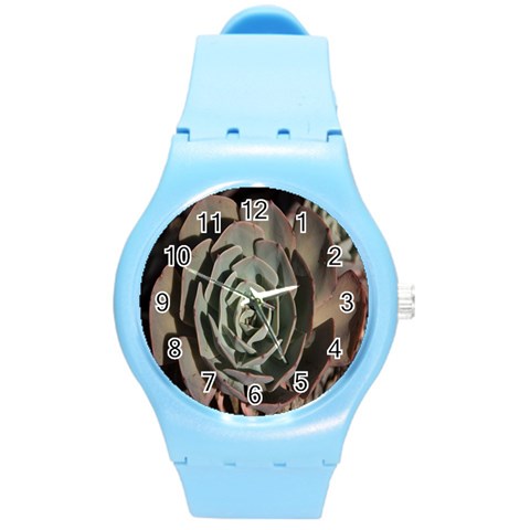 Succulent Green Pink Rosettes Round Plastic Sport Watch (M) from ArtsNow.com Front