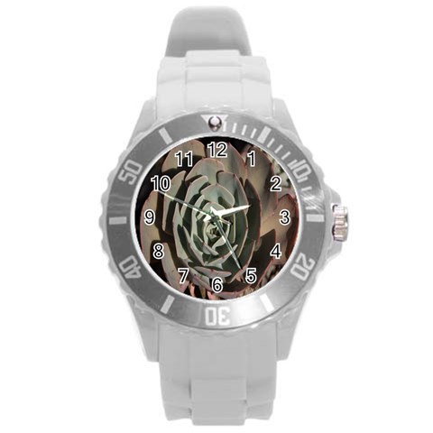 Succulent Green Pink Rosettes Round Plastic Sport Watch (L) from ArtsNow.com Front