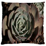 Succulent Green Pink Rosettes Large Cushion Case (One Side)