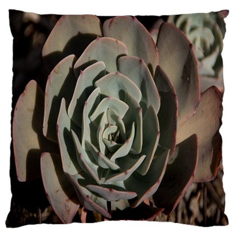 Succulent Green Pink Rosettes Large Cushion Case (Two Sides) from ArtsNow.com Front