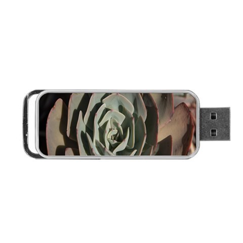 Succulent Green Pink Rosettes Portable USB Flash (Two Sides) from ArtsNow.com Back